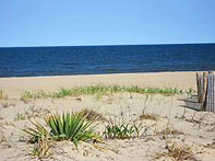 south bethany beach real estate 2