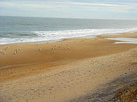 delaware beach real estate